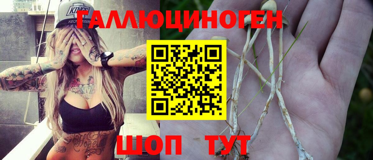 Заинск  Псилоцибиновые грибы мухоморы  Псилоцибиновые грибы GOLDEN TEACHER  Вход с VPN 